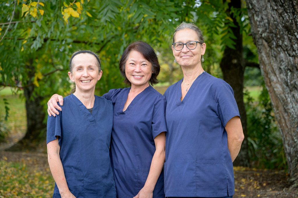 OneDental_mapua-team-2 One Dental Team