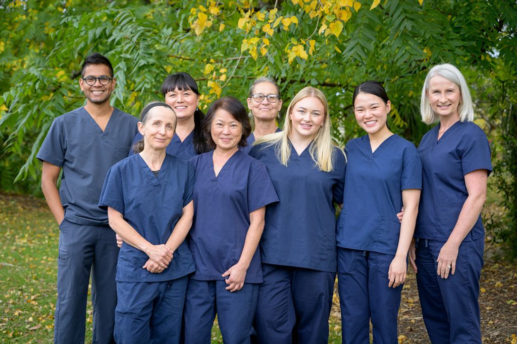 OneDental_mapua-team-3 One Dental Team