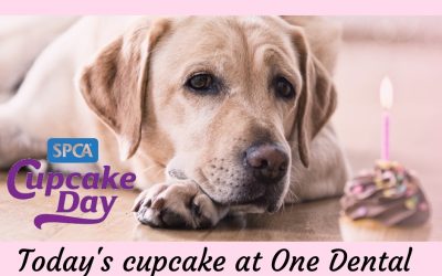 SPCA cupcake day – Monday