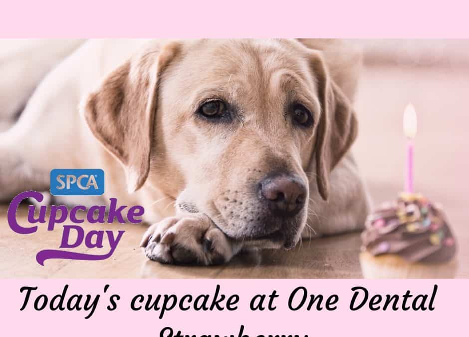 SPCA cupcake day – Monday